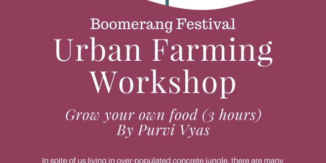 Urban Farming Workshop | Boomerang Fest
